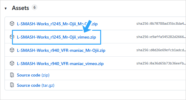 L-SMASH-Works_rXXXX_Mr-Ojii_vimeo.zip