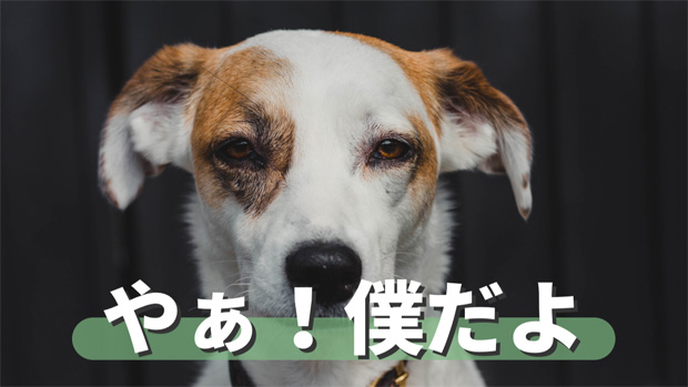 背景角丸矩形